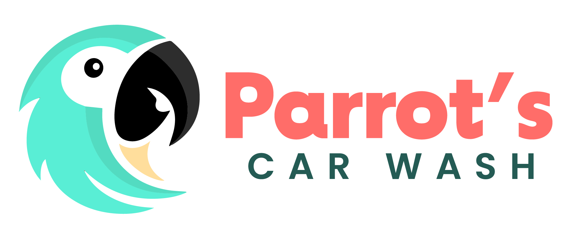 Parrot's Car Wash
